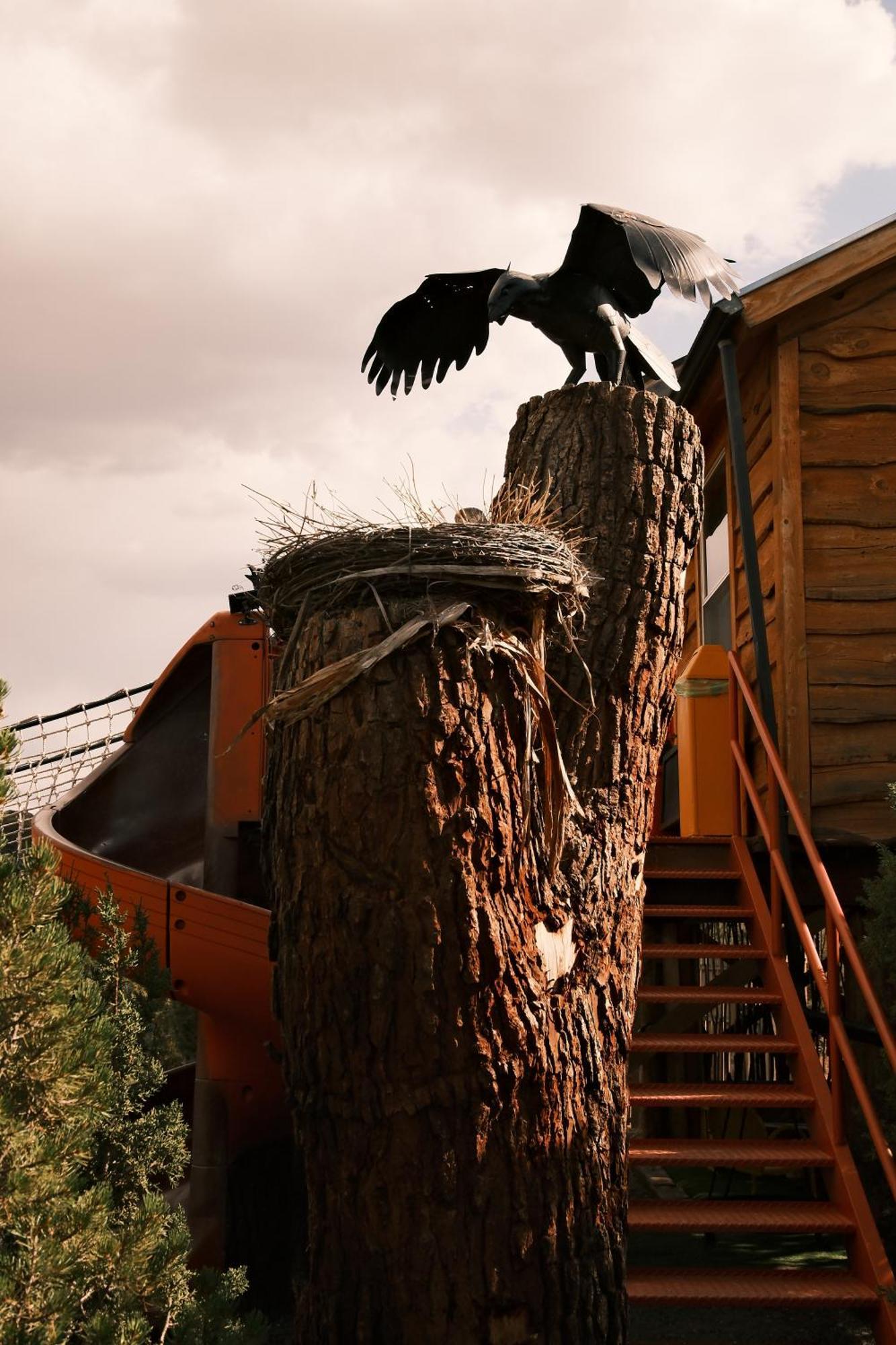 NogalCrows Nest Treehouse At El Mstico Ranch别墅 外观 照片