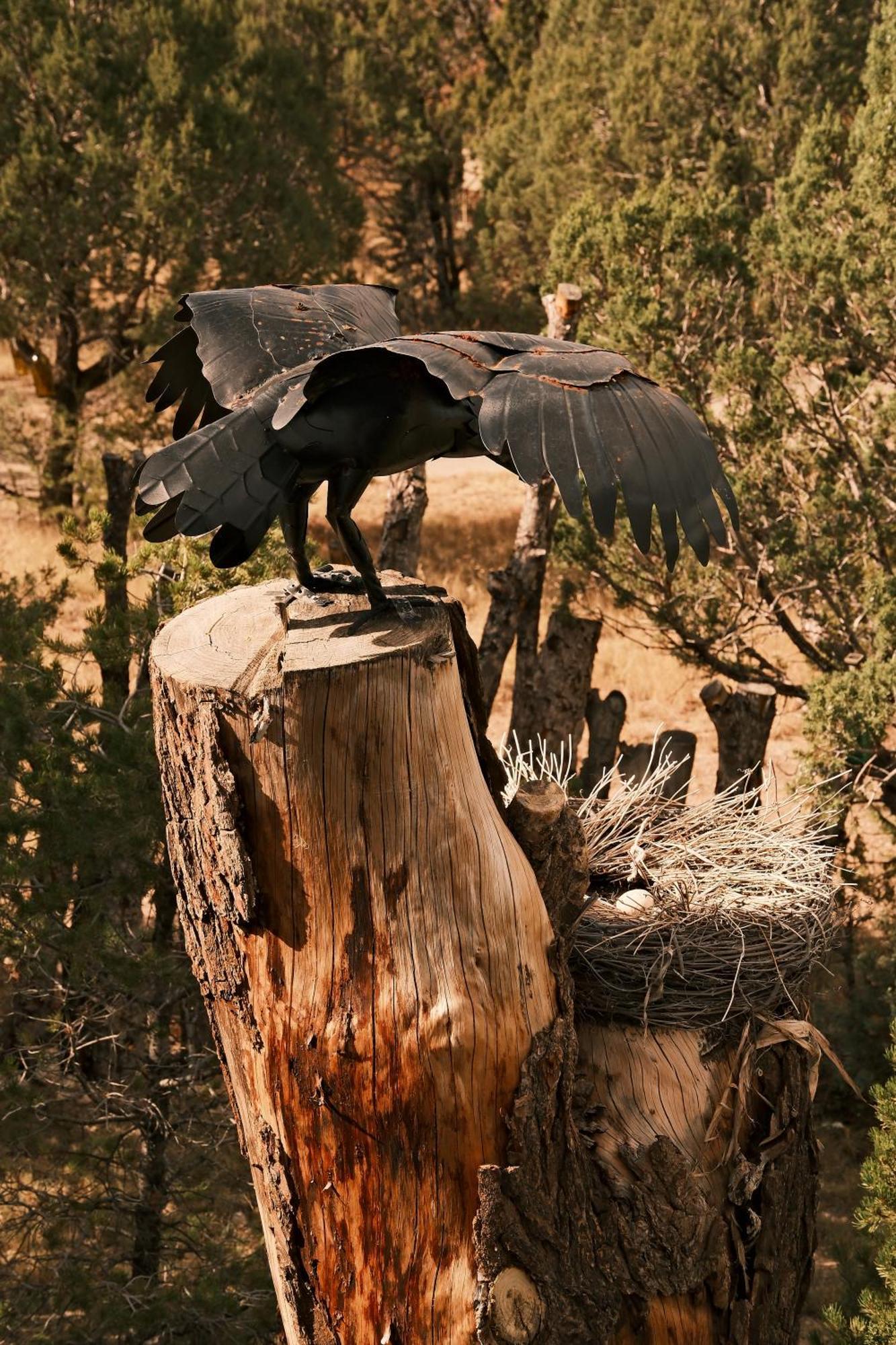 NogalCrows Nest Treehouse At El Mstico Ranch别墅 外观 照片