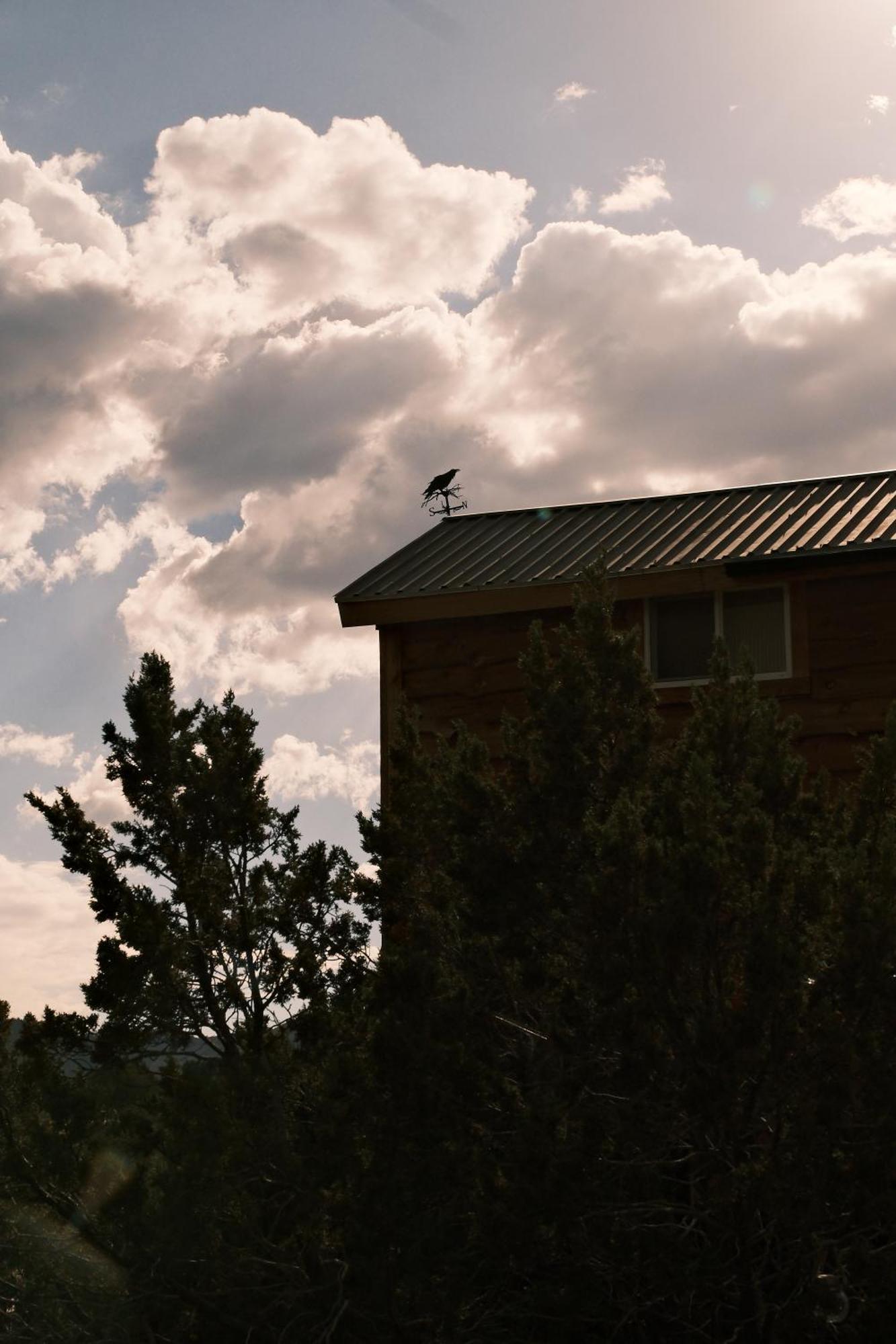NogalCrows Nest Treehouse At El Mstico Ranch别墅 外观 照片